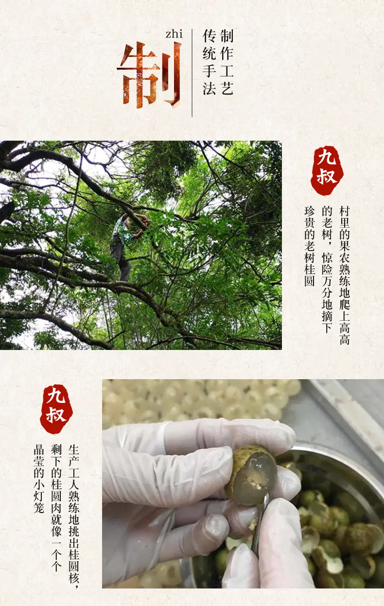 桂圆肉详情_02.jpg