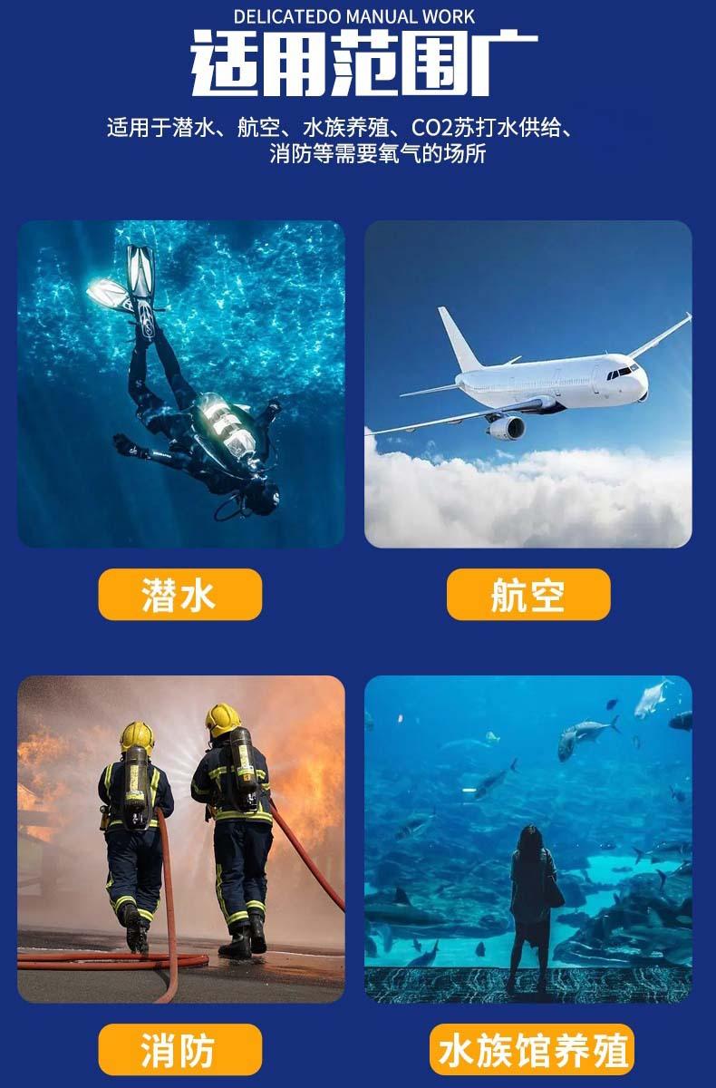 高压空气呼吸器充气泵5.jpg