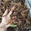 Minhocas como Materiais Medicinais Chineses: Minhocas de Xangai, Minhocas de Henan, Minhocas Sem Solo de Hainan, Fatias de Minhoca Seca, Pó de Minhoca, Minhocas Secas
