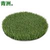 Qingzhou Campo de Fútbol de Césped Césped Artificial Césped de Fútbol Césped Artificial Césped Falso Estadio Cubierto Exterior Área Exterior