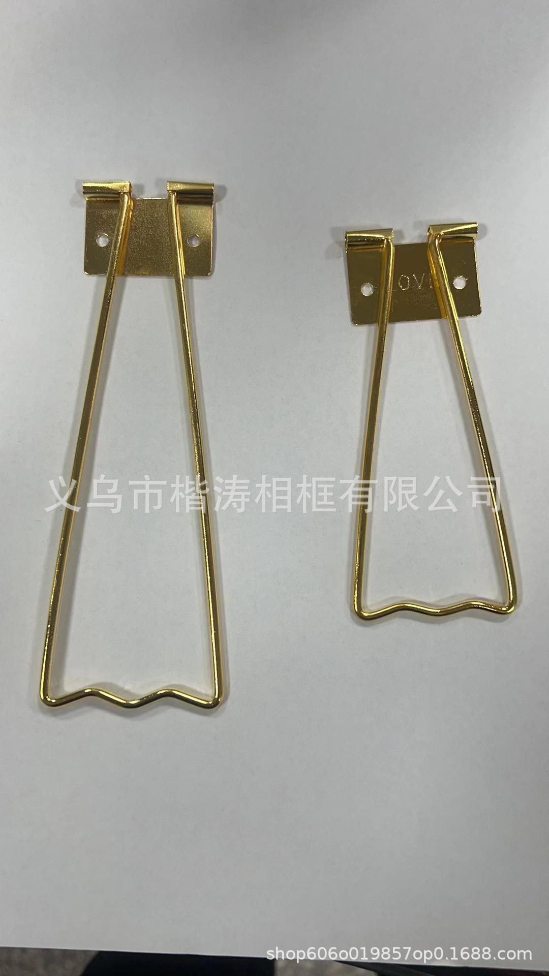 金大支架.jpg
