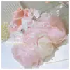 Perro Lolita Vestido de Princesa Bolsa de Encaje Vestido Cuerpo Pequeño Ropa para Perro Maltés Yorkshire Vestido Rosa
