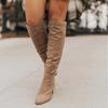 Botas de gamuza de punta fina con cremallera lateral transfronteriza europeas y americanas nuevas para mujer Deseo Otoño e Invierno Tacón Grueso Fino Venta al por Mayor Talla Grande