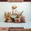 Escena de decoración de escaparate de tienda de ropa con flores de otoño, juncos, hierba y flores secas para una transmisión en vivo con temática femenina