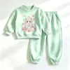 Conjunto de Sudadera con Capucha para Bebé Primavera y Otoño Lindas Niñas Manga Larga Ropa Exterior Elegante Pantalones Deportivos Casuales Conjunto de Dos Piezas para Niños Pequeños