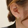 Corea del Sur Sentido de Alto Grado Hoja de Circonia Círculo Hebilla de Oreja Estilo Femenino Lujo Ligero Moda Simple Pequeño Arete de Anillo para Oreja Versátil