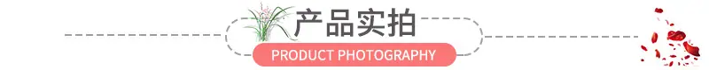 产品实拍