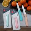 Suministro para Supermercado Cuchillo para Fruta Cuchillo Pelador Hogar Cocina Plegable Cuchillo de Cocina Acero Inoxidable Cuchillo para Melón y Fruta Portátil Pequeño Cuchillo Plegable