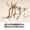 Decoración de madera sumergida para raíz de rododendro Atracciones de acuario de bosque Micro paisajismo material de raíz de pegamento anfibio grande para DIY
