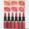Labial Mate Paquete de 6 transfronterizo 12 colores color pasta de frijol nude sedoso traje de labial mate venta al por mayor
