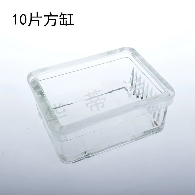 10片 1.JPG