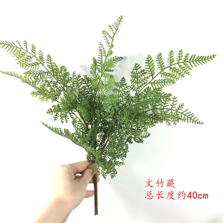 中波斯草01.jpg