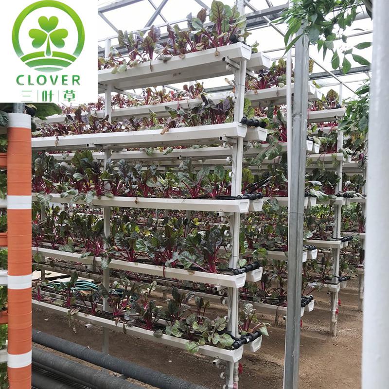 微信图片_20200829091912