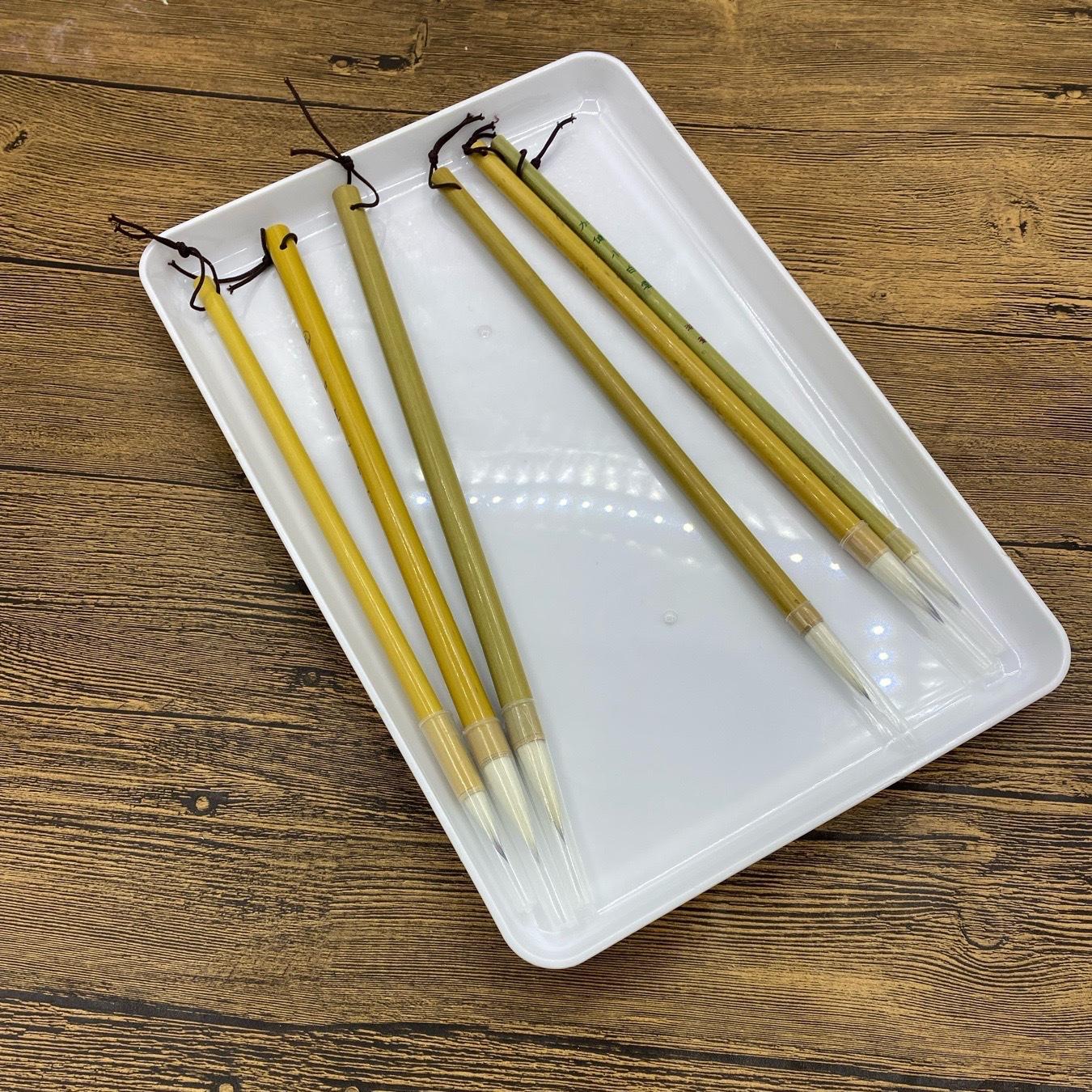 IMG_6570(20240226-205318)