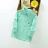 Camisa de Manga Comprida para Meninos, Novo Modelo de Outono, Venda Direta da Fábrica para Crianças Pequenas, Camisa Casual de Primavera e Outono, Camisa de Manga Comprida Infantil