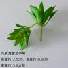 Wow Suculentas Simuladas Personalizadas, Plantas Verdes, Plantas Decorativas en Maceta, Cactus Muebles para el Hogar, Suculenta Falsa DIY Bonsái