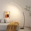 Luminária de chão LED transfronteiriça da Amazon, modelo de arte de designer, sala de estar, criativa, curva, minimalista, estilo ins, luminária de pesca