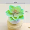 Plantas Suculentas Artificiales en Maceta Disponibles con Macetas de Plástico Cerámico Imitación Tipo Diamante, Decoración Popular para el Hogar y Ornamentos de Paisajismo Transfronterizos al por Mayor
