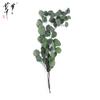 Flor Eterna Eucalipto hoja redonda hoja de manzana Eucalipto manzana estilo INS flor seca para interior pequeño ramo hoja madera decoración para el hogar
