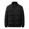 Abrigo para hombre acolchado de algodón Invierno Nuevo estilo Abrigo acolchado de algodón Estilo coreano moderno Cuello vertical Corto Suelto Plumífero Acolchado de algodón para niños hombres