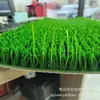 Equipamento Premium Espessado Criptografado para Garimpo de Ouro Equipamento de Lavagem de Ouro Manta de Ouro Ferramenta de Garimpo de Ouro Manta Erva de Garimpo de Ouro Sucção de Ouro
