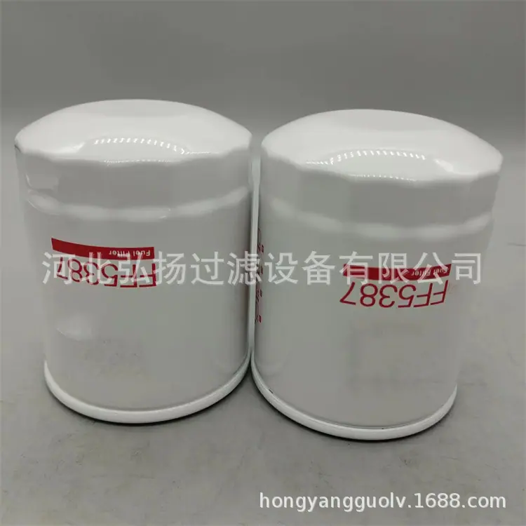 FF5387 (4)