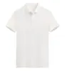 Camisa Polo Personalizada con Cuello de Solapa Ropa de Trabajo Estampada con Logo Ropa de Trabajo de Verano de Manga Corta Camisa Cultural para Grupo Corporativo Hecho a Medida