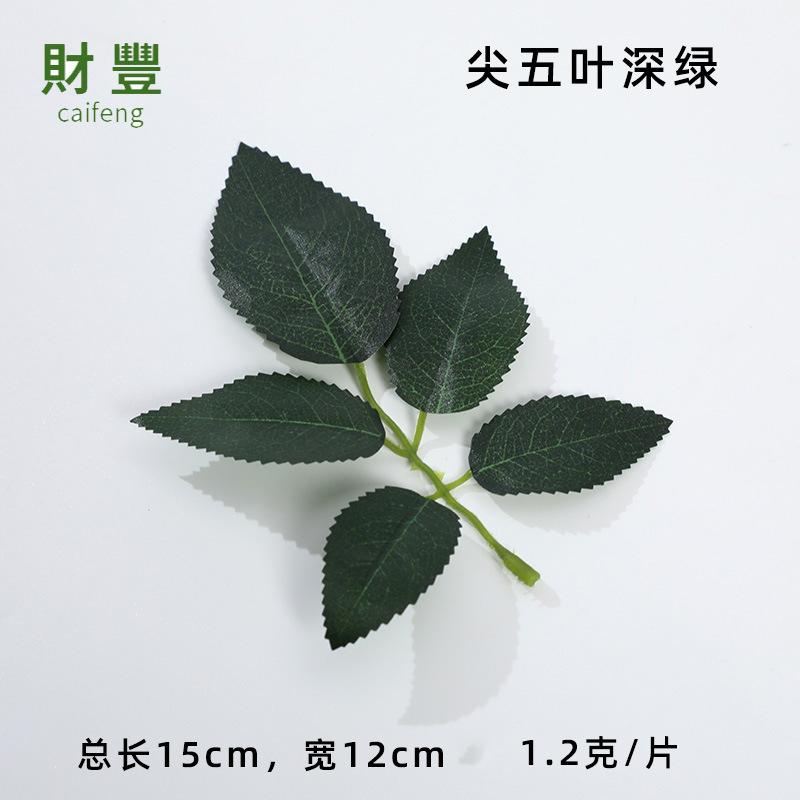 尖五叶深绿.jpg