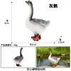 Modelo Sólido de Animal Salvaje Artificial Aves de Corral Pollo Pato Ganso Faisán Pavo Grupo de Pollitos Juguete Cognitivo para Niños Adornos