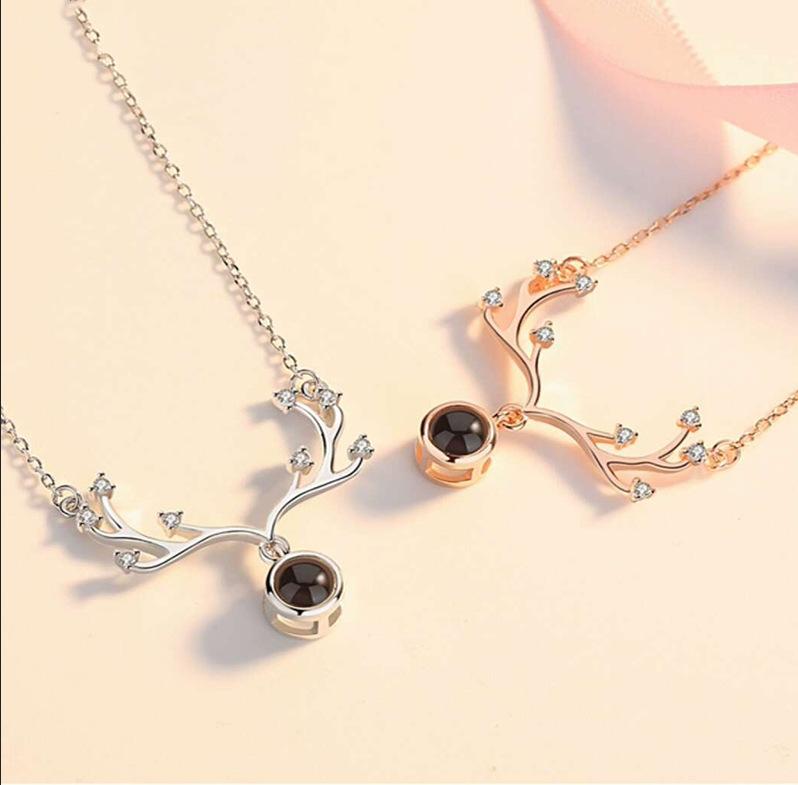 03535404d353182a4df41a3b4df8e8