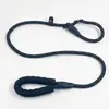 Correa de Perro Ajustable Teddy Golden Retriever, Cadena P Antishock para Perros Pequeños, Medianos y Grandes