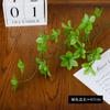 Decoración de Mesa para el Hogar Adornos Fotografía Plantas Verdes Simuladas Ramas de Múltiples Pétalos Plantas Verdes de Exterior al por Mayor Ramas de Campana Colgante Simuladas
