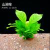 Plantas Acuáticas Locas Acuario Hierba Real Oxigenada Hidroponía Banyan de Agua Perezoso Madera Sumergida Paisajismo Entrada Plantas Acuáticas Fabricante Mayorista