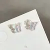 Brincos de concha com franjas frescos e simples com um design único, novos brincos de estilo primavera e verão para mulheres, atacado
