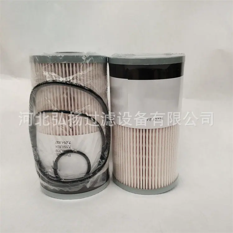 FS19728弗列加 (3)