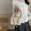Bolsa de Mão Quadrada Pequena Estilo Chanel Transfronteiriça da Moda para Mulheres, Novo Modelo de Verão 2026, Bolsa de Ombro Cor Sólida Trançada em Palha, Bolsa Transversal Fashion