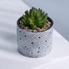 Precio de fábrica se puede personalizar logo maceta maceta planta carnosa gres simple creativo jardinería del hogar escritorio bonsái