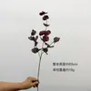 Eucalipto artificial transfronteiriço pequeno de três folhas, eucalipto colorido de folhas redondas, materiais decorativos para arranjos florais, móveis macios para hotel, em estoque