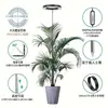 Lámpara LED retráctil para crecimiento de plantas, anillo de ángel, suculenta, anti-luz solar, espectro completo, temporizador de floración, luz de relleno para plantas
