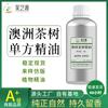 Aceite Esencial de Árbol de Té Australiano Hoja Mutua Aceite de Árbol de Té de Mil Capas Materias Primas en Stock Aromaterapia DIY Jabón Hecho a Mano Perfume Aceite Esencial