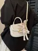 Bolso bandolera pequeño con textura de moda para mujer, primavera y verano 2024, nuevo bolso de hombro combinable, estilo occidental, bolso de sillín portátil