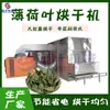 Línea de Montaje de Secado de Té de Hoja de Menta Tipo Oruga Menta Silvestre Secador Silverdancao Secador Grande de Hojas de Menta