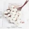 Maleta Navideña Pieza de Estilismo Integrada DIY Floral Helado Nochebuena Material de Empaque Maleta de Manzana