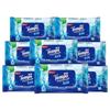 Papel Húmedo para Inodoro Vinda De Bao Agua Pura, Paquete Familiar de Valor, Paquete Grande de Toallitas para Limpieza de Inodoros, Toallitas Desechables en el Inodoro
