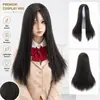 Comércio Exterior Europeu e Americano Anime COS Peruca Masculina e Feminina Figurino Antigo Styling de Performance Franja com Partição Central Cabelo Liso Longo 70cm Cobertura Completa da Cabeça