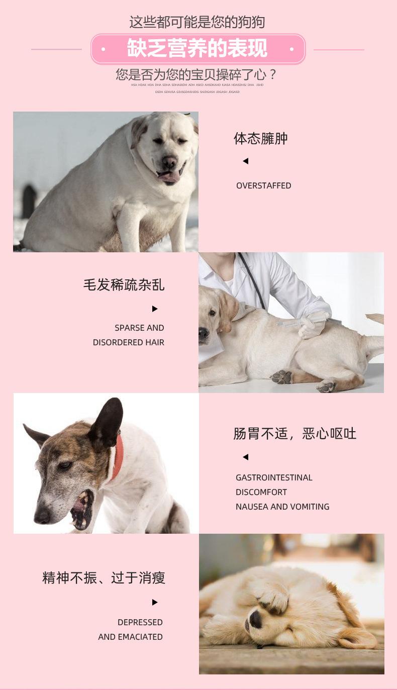 狗粮_06.jpg