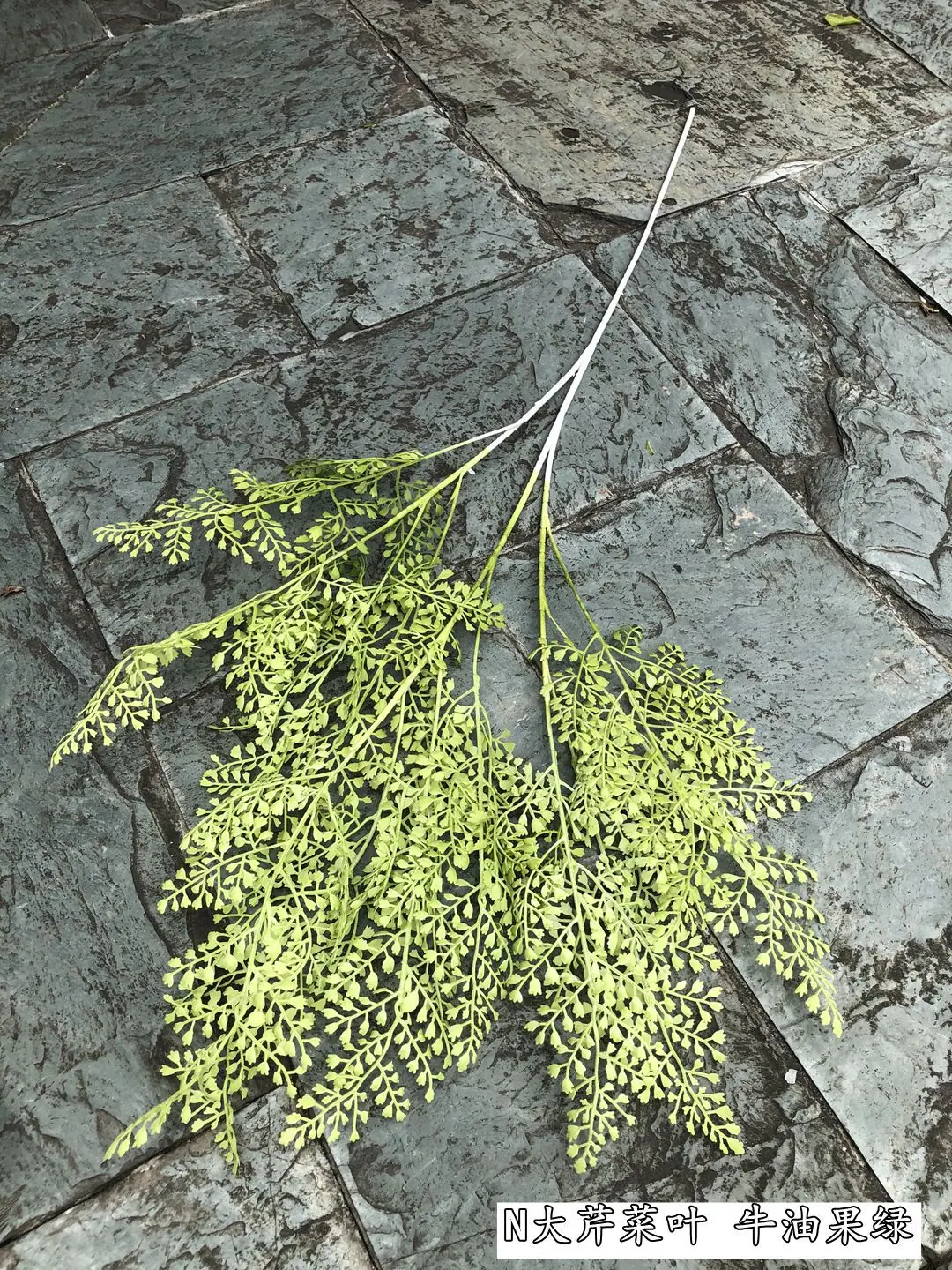 微信图片_20210629132437_副本.jpg