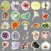 50 Adesivos de Desenho Animado de Espécimes de Plantas, Folhas e Flores Artísticas e Criativas, Adesivos Decorativos DIY para Agenda de Mão e Mala