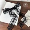Acessórios de Início de Primavera: Lenço Longo de Seda com Renda Vintage, Fita Decorativa Versátil, Faixa de Cabeça e Cinto Versátil Estilo Francês