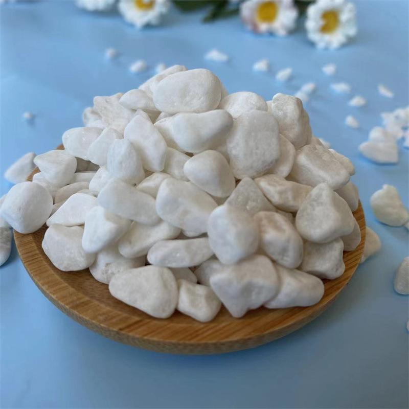 0290acd1def840a546a11cfe897df3